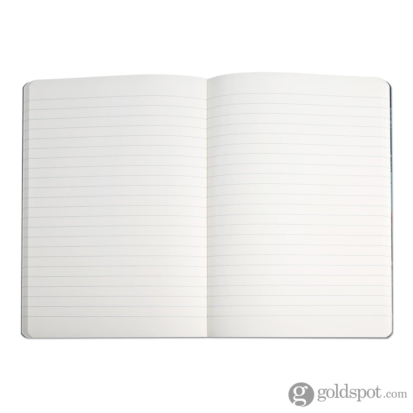 Clairefontaine Ginkgo Softcover Leather Notebook A5 Lined - Set of 2 Notebooks Journals