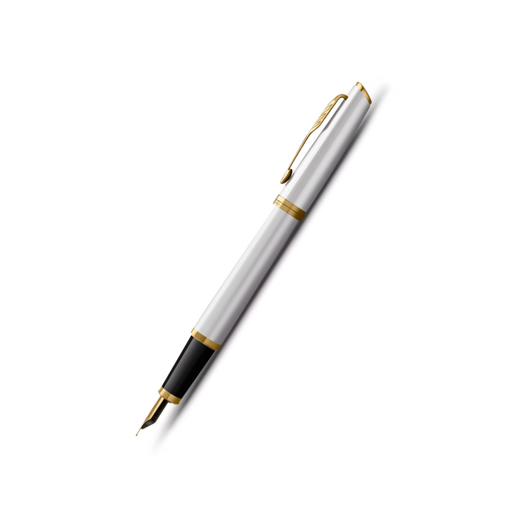 Parker Meridian Fountain Pen in Chrome with Gold Trim - Fine
