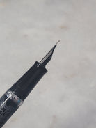 Misfit Item 0100 Nahvalur Original Fountain Pen - Peter Draws Artist Edition Silver - Medium Point