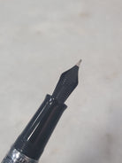 Misfit Item 0101 Nahvalur Original Fountain Pen - Peter Draws Artist Edition Silver - Medium Point