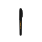 Platinum Preppy Fountain Pen in Black Edition - Limited Special