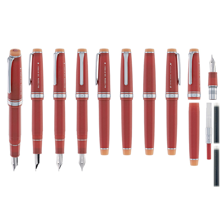 Sailor Pro Gear Standard Fountain Pen in Syvash - 21K Gold