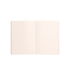 Rhodia Rhodiarama Softcover Notebook in Bronze - A5