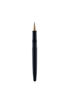 Wahl Eversharp Skyline Rollerball Pen in Black Gold Trim