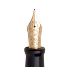 Aurora Optima Fountain Pen in Black - 14K Gold Fine Point