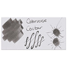 Colorverse Eye on the Universe Mini Bottled Ink in Costar - 5mL