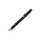 Parker Meridian Fountain Pen in Blue with Gold Trim - Fine