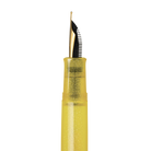 Pelikan Classic M200 Fountain Pen in Pyrite