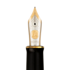 Pelikan Souverän® M1000 Fountain Pen in Raden Stardust “Hoshikuzu