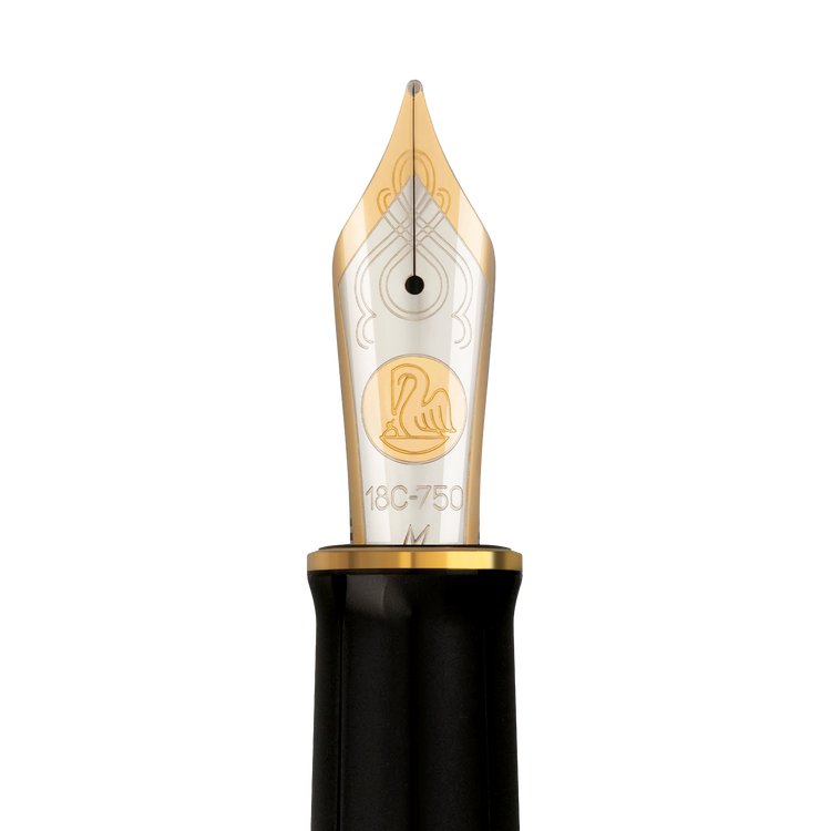 Pelikan Souverän® M1000 Fountain Pen in Raden Stardust “Hoshikuzu" - Medium Nib - Limited Edition
