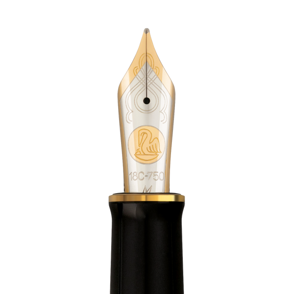 Pelikan Souverän® M1000 Fountain Pen in Raden Stardust “Hoshikuzu" - Medium Nib - Limited Edition