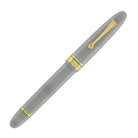 Omas Ogiva Fountain Pen in Grigio with Gold Trim - 14K Gold