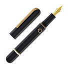 Narwhal Nautilus Fountain Pen in Bronze Corydoras