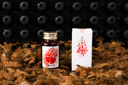 Lennon Tool Bar Spring 2024 Fountain Pen Ink in Ixora - 30ml