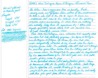 OMAS New Bologna Fountain Pen Review