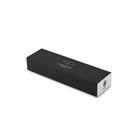Parker Meridian Fountain Pen in Chrome with Gold Trim - Fine
