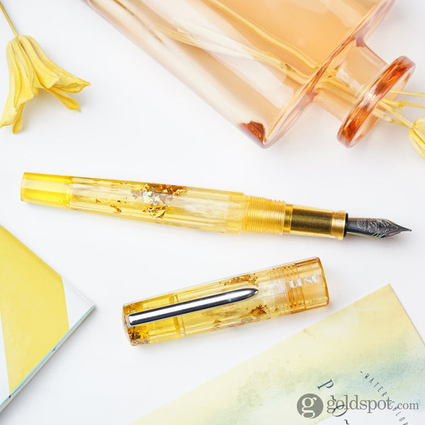 Benu Euphoria Fountain Pen in Hot Toddy Fountain Pen