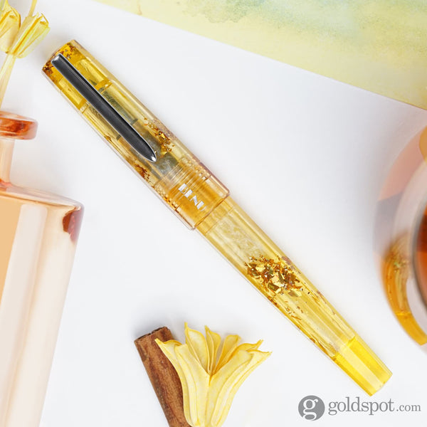 Benu Euphoria Fountain Pen in Hot Toddy Fountain Pen