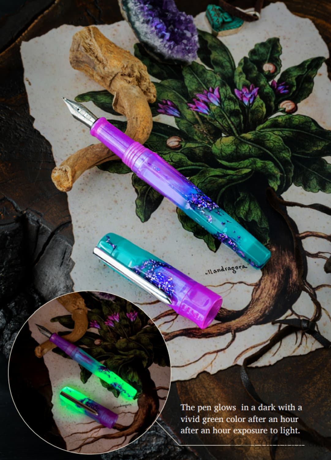 Benu Talisman Fountain Pen in Mandrake Medium Fountain Pen