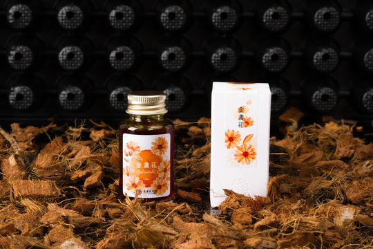 Lennon Tool Bar Spring 2024 Fountain Pen Ink in Calendula - 30ml