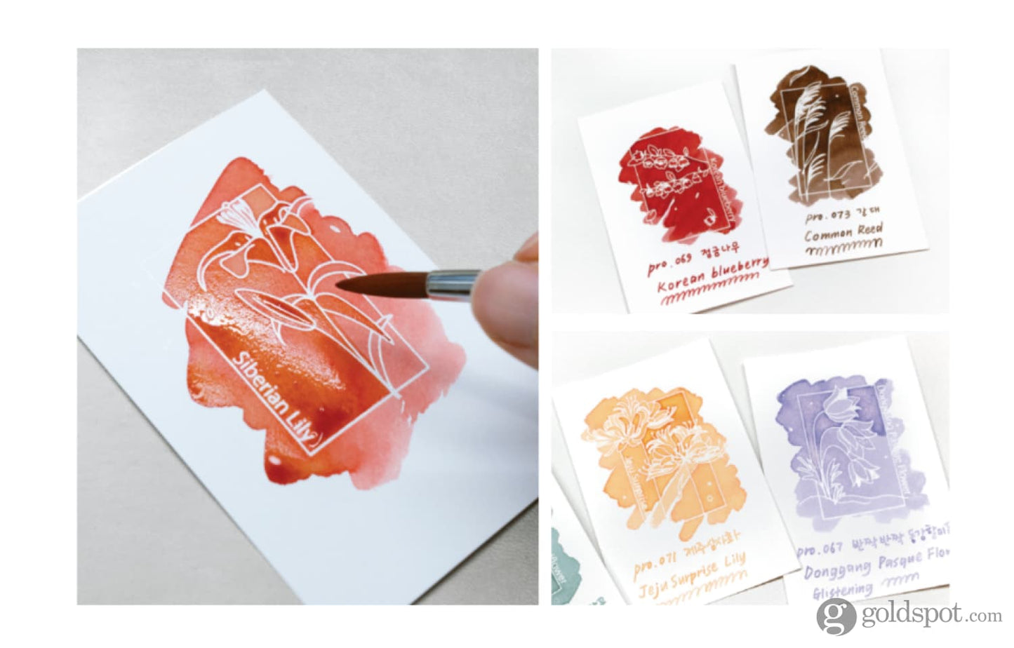 Colorverse Colorspace Ink Art Cards in Wildflower Edition - Goldspot Pens