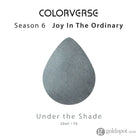 Colorverse Joy in the Ordinary Bottled Ink in Under the Shade - 30mL Bottled Ink