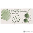 Colorverse Project Ink Vol. 10 Bottled Ink in No.064 Boxwood - 15mL Bottled Ink