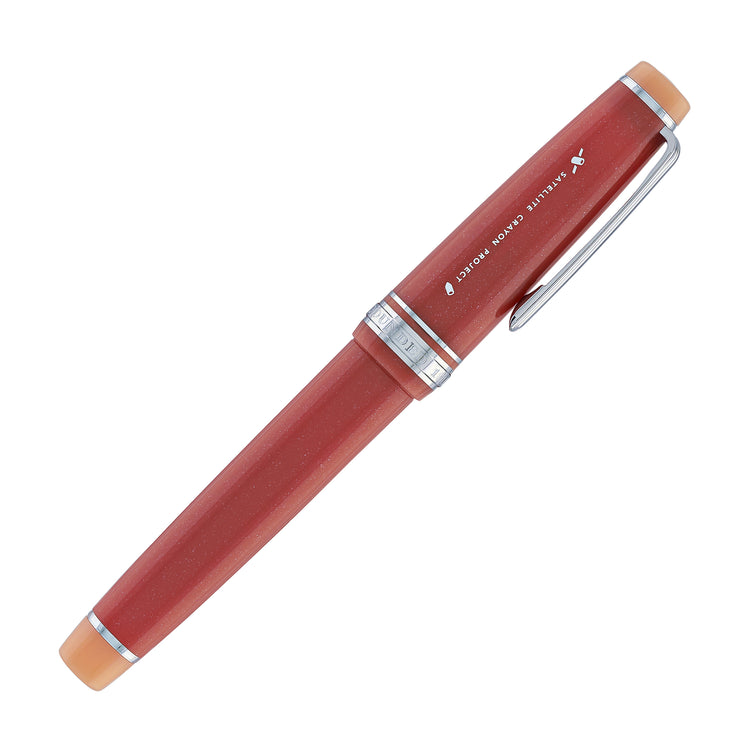Sailor Pro Gear Standard Fountain Pen in Syvash - 21K Gold