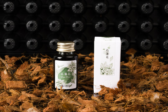Lennon Tool Bar Spring 2024 Fountain Pen Ink in Ghost Plant - 30ml
