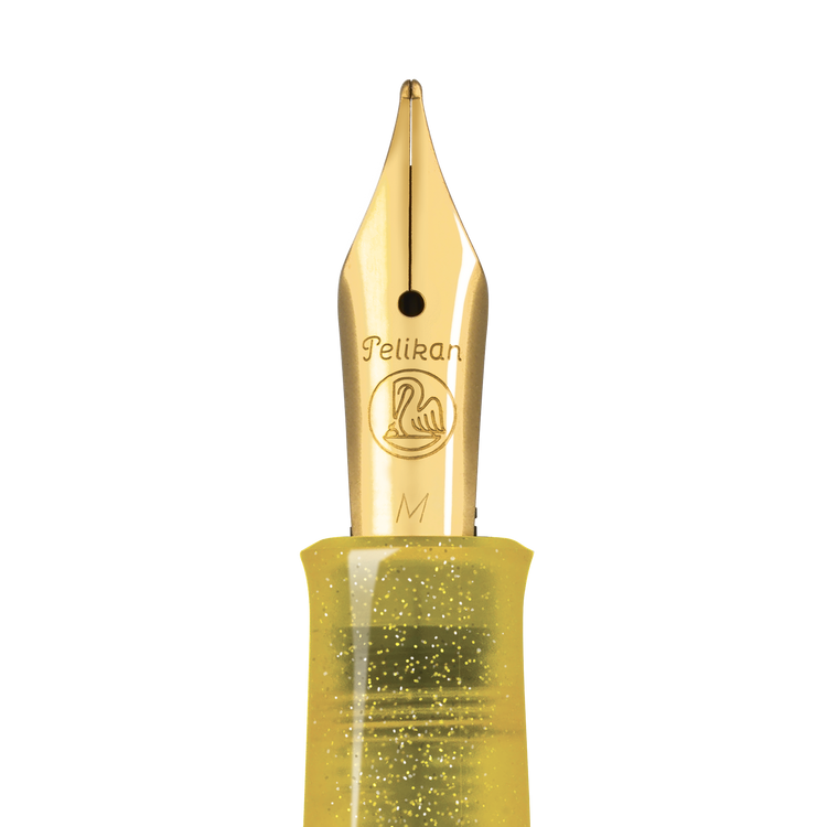 Pelikan Classic M200 Fountain Pen and Edelstein Ink Set in Pyrite