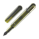 Nahvalur Nautilus Fountain Pen in Pine Barrens