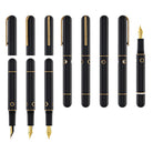 Narwhal Nautilus Fountain Pen in Bronze Corydoras