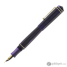Delta Write Balance Fountain Pen in Purple Fountain Pen