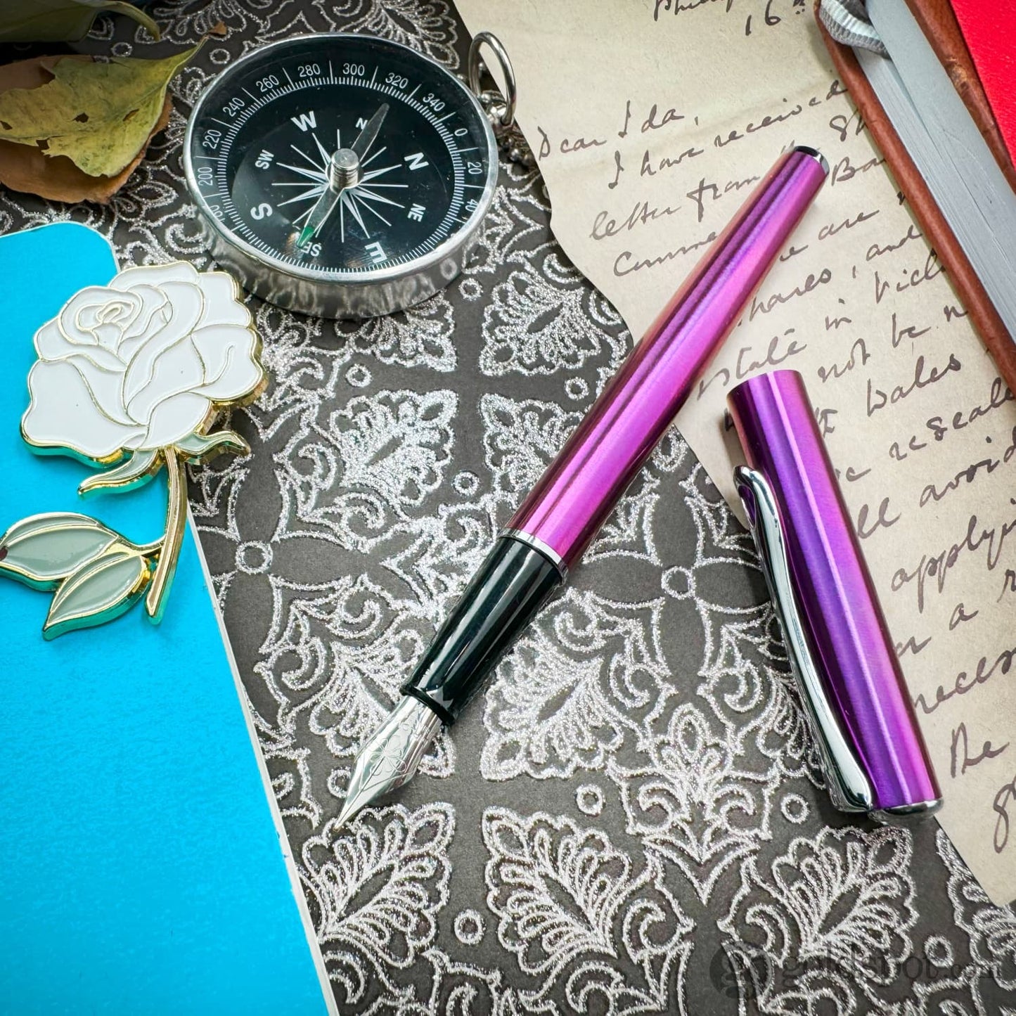Diplomat Traveller Fountain Pen in Funky Fuchsia Fountain Pen