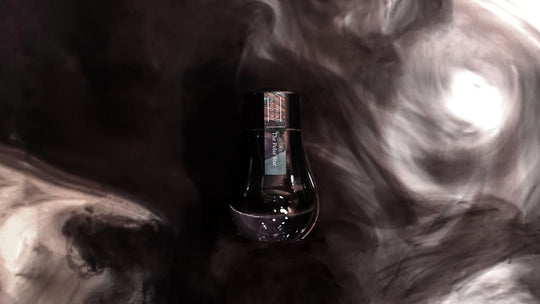 Dominant Industry Standard Series Bottled Ink in The Polar Star - 25mL