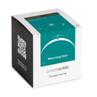 Colorverse Spaceward Bottled Ink in Morning Star - 40 mL