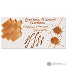 Endless Alchemy Bottled Ink in Mocha Mousse - 45 ml Bottled Ink
