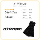 Endless Alchemy Bottled Ink in Obsidian Moon - 45 ml Bottled Ink