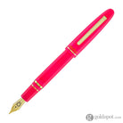 Esterbrook Funky Town Estie Fountain Pen in Pink Fountain Pen