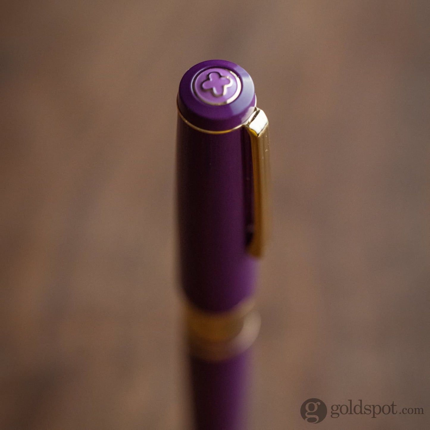 Esterbrook Model J Fountain Pen in Blackberry Ebonite with Gold Trim Fountain Pen