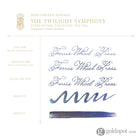 Ferris Wheel Press Fountain Pen Ink in Twilight Symphony - 20mL - Limited Edition Bottled Ink