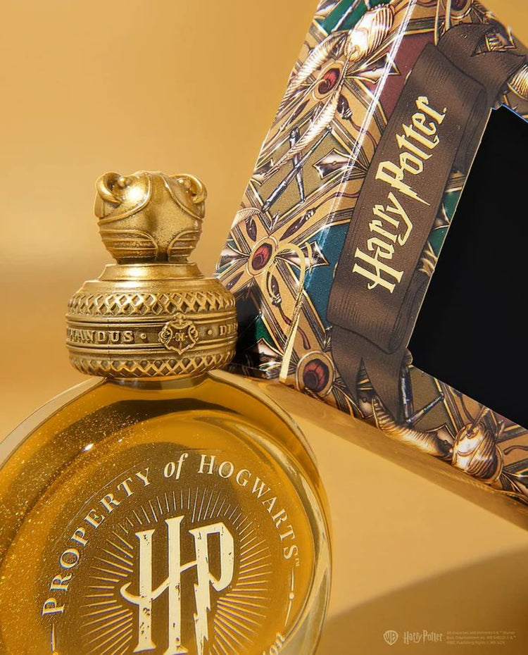 Ferris Wheel Press x Harry Potter Bottled Ink in The Golden Snitch - 38 mL Bottled Ink