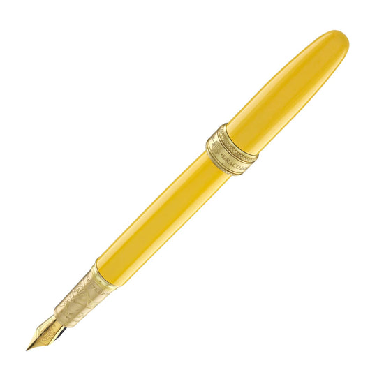 Ferris Wheel Press x Harry Potter Joule Fountain Pen in Hufflepuff