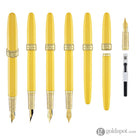 Ferris Wheel Press x Harry Potter Joule Fountain Pen in Hufflepuff Fountain Pen