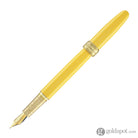 Ferris Wheel Press x Harry Potter Joule Fountain Pen in Hufflepuff Fountain Pen