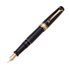 Aurora Optima Fountain Pen in Black - 14K Gold Fine Point