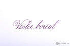 J. Herbin Essential Bottled Ink and Cartridges in Violet Boreal Bottled Ink