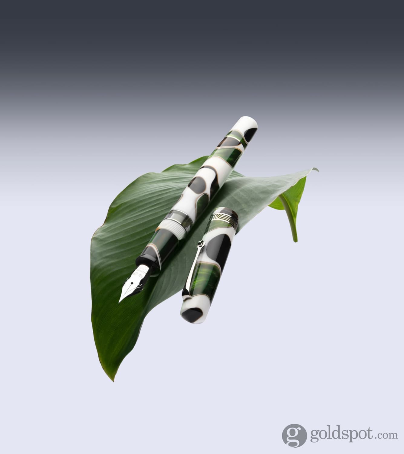 Leonardo Momento Magico Fountain Pen in Foglia Fountain Pen