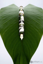 Leonardo Momento Magico Fountain Pen in Foglia Fountain Pen