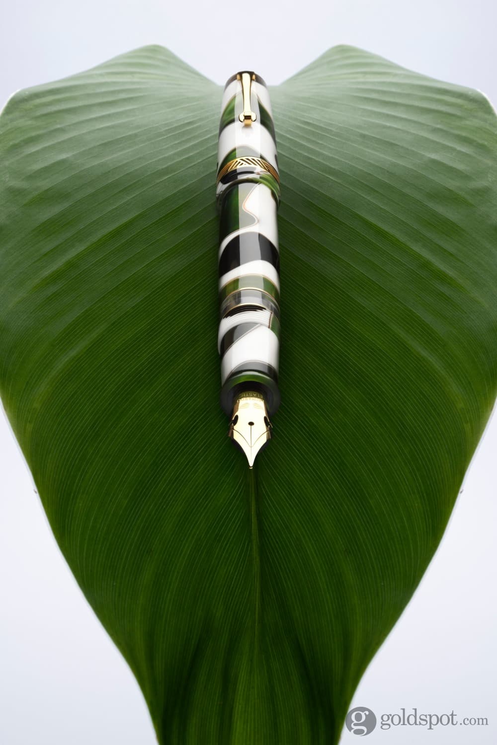 Leonardo Momento Magico Fountain Pen in Foglia Fountain Pen